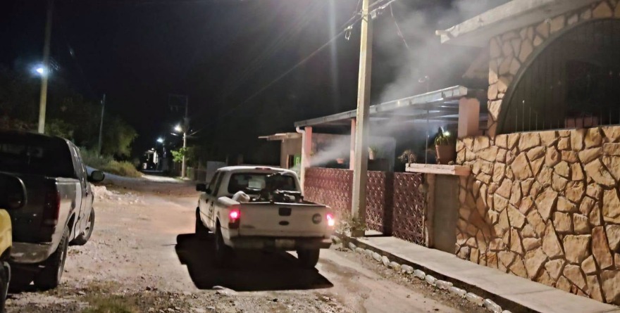 Autoridades combaten mosquitos en Cerritos