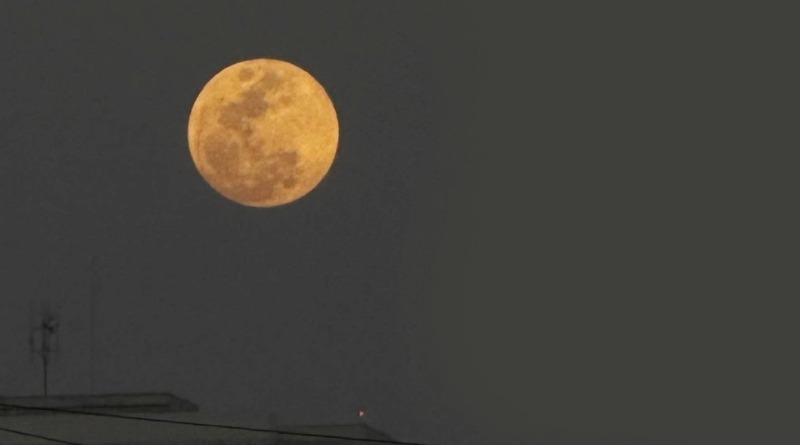 ATRAPA EL ECLIPSE CON TU CELULAR