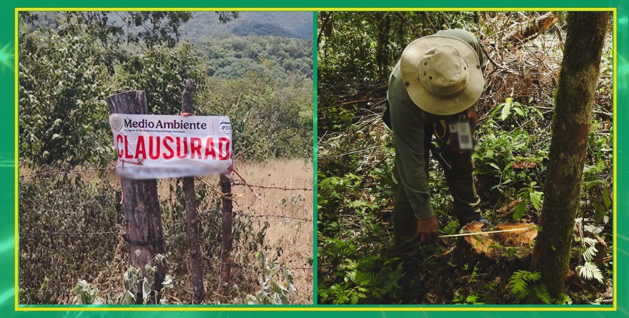 Clausura PROFERA predios en SLP