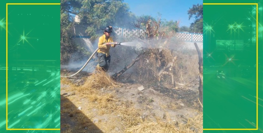 Bomberos atienden incendio en El Altillo