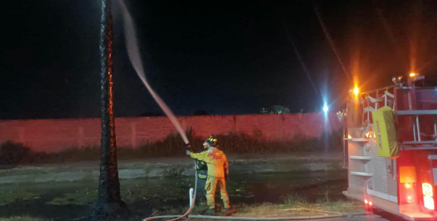 Responden a incendio de palma