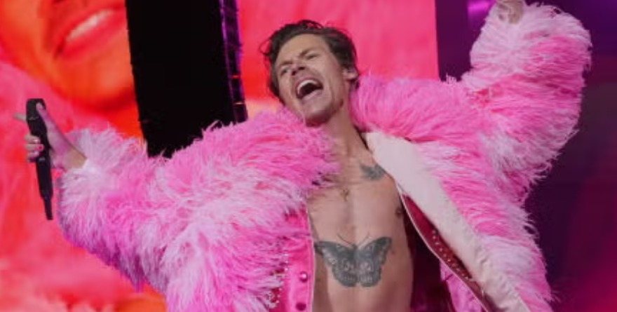 ¿HARRY STYLES CASI SE NOS DESCALABRA?