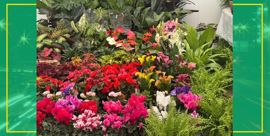 LLEGA LA FERIA DE LAS FLORES A FENAPO
