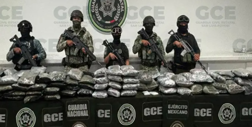 Disparan decomisos de cannabis por narcomenudeo