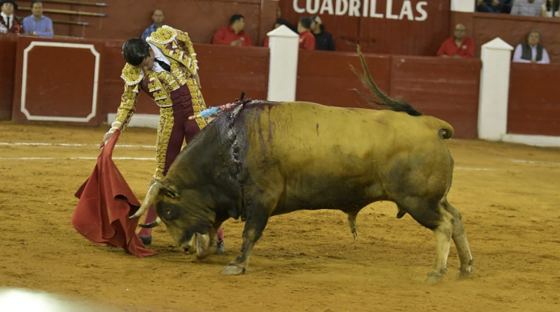 JOSÉ MAURICIO Y CALITA CORTAN UNA OREJA EN CIERRE DE FERIA