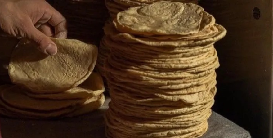 Estudio universitario descubre sustancia cancerígena en tortillas; exhiben tardanza de la COEPRIS