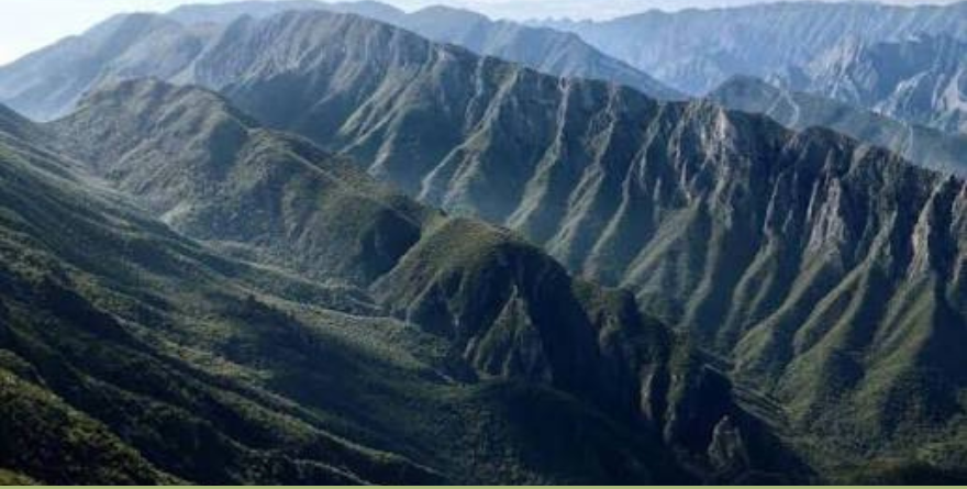 Radiografían el deterioro ambiental en laderas de la Sierra Madre Oriental