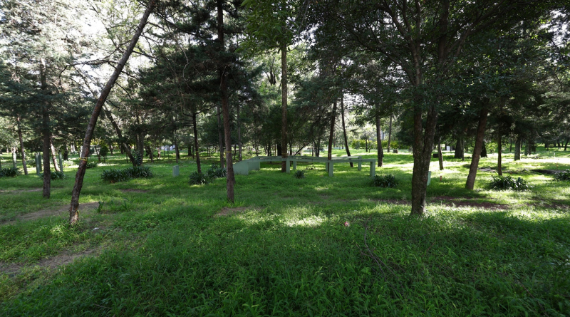 RECHAZAN PROYECTO MILITAR EN BOSQUE DE CHAPULTEPEC