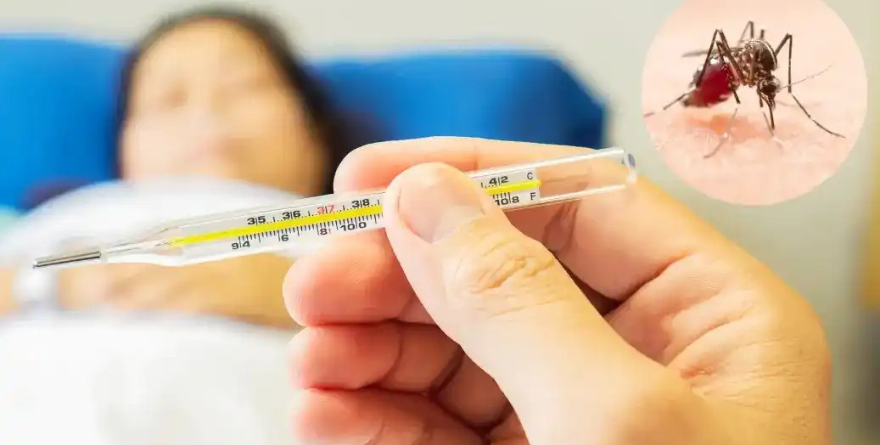 Se detectan 37 casos de dengue en SLP