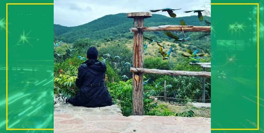Naturaleza e historia cautivan a visitantes