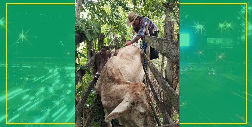 Ganaderos locales detienen la rabia