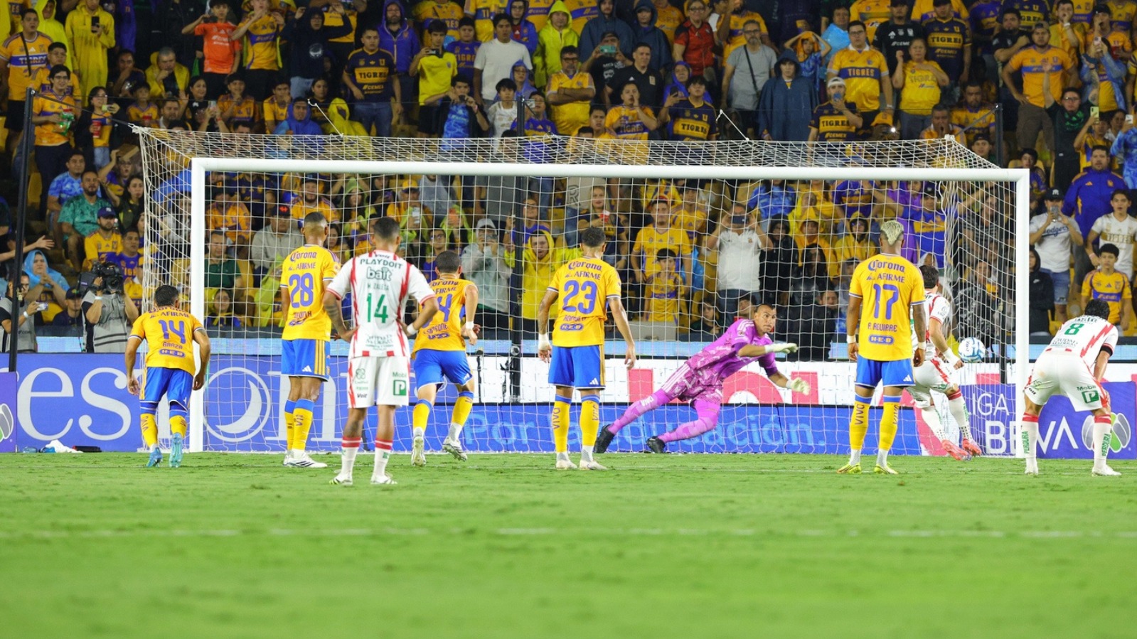 TIGRES SIN GARRAS