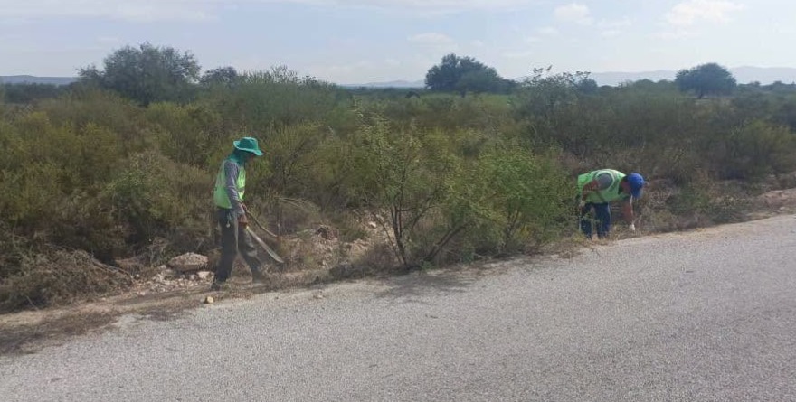 Vecinos demandan limpieza de caminos