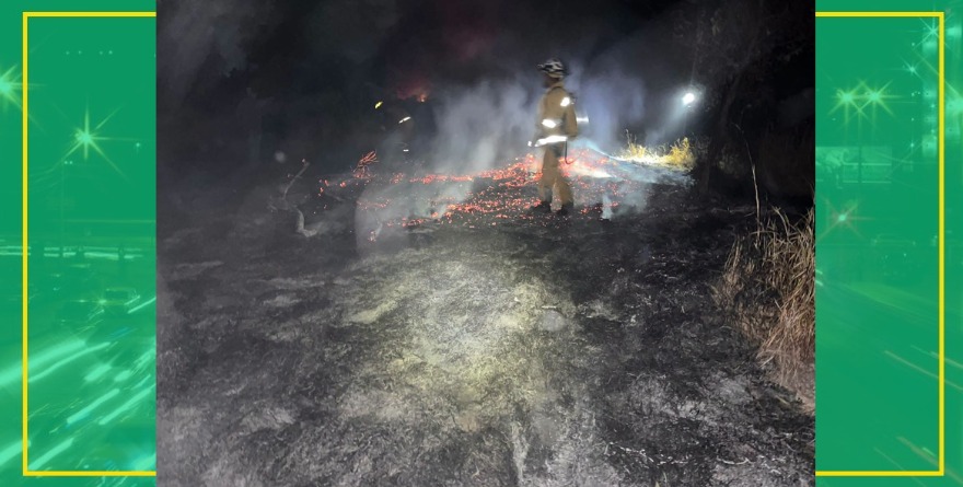 Incendio de pastizal en Ciudad Fernández