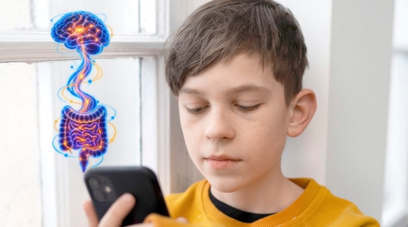 REDES TAMBIÉN AFECTAN AL ‘SEGUNDO CEREBRO’