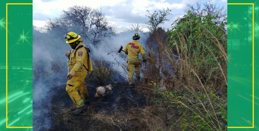 Atienden incendio pastizal en Refugio