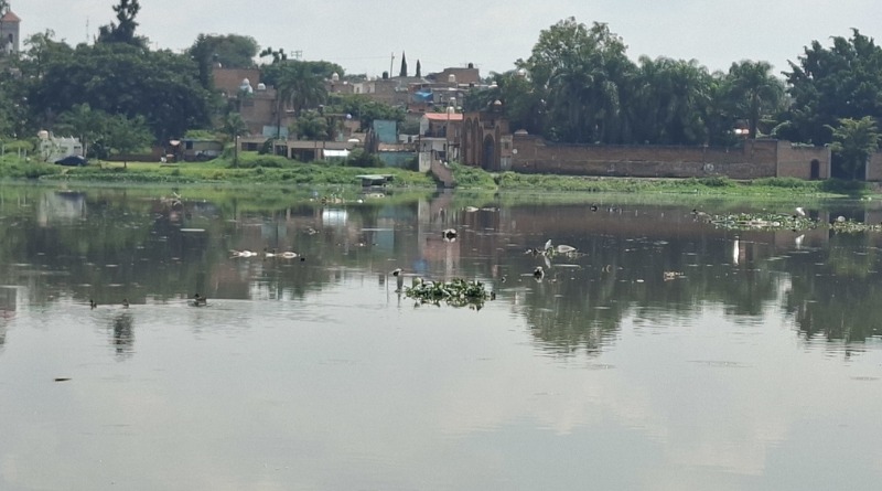 PERSISTEN AGUAS NEGRAS Y OLORES EN LAS PINTAS