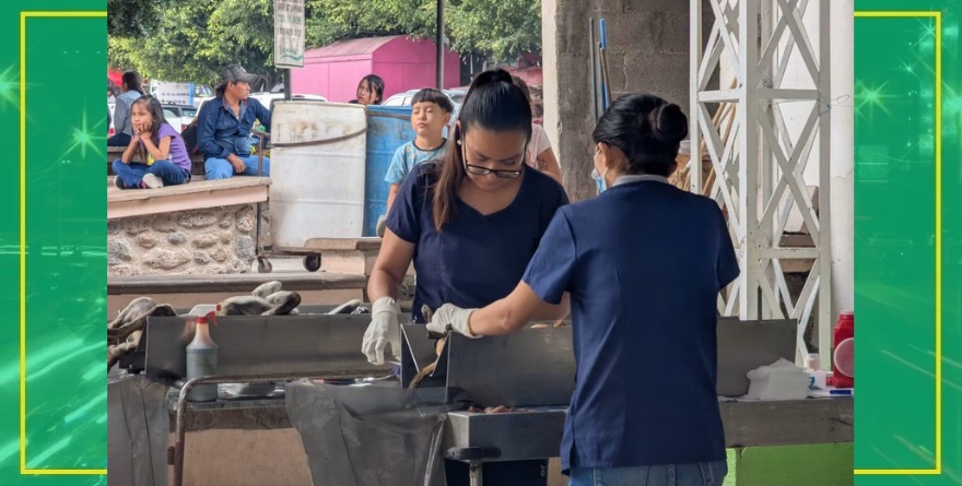 Esterilizan perros y gatos en Cárdenas