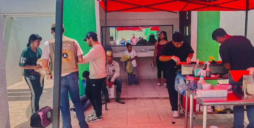 Otorgan cirugías gratis a mascotas