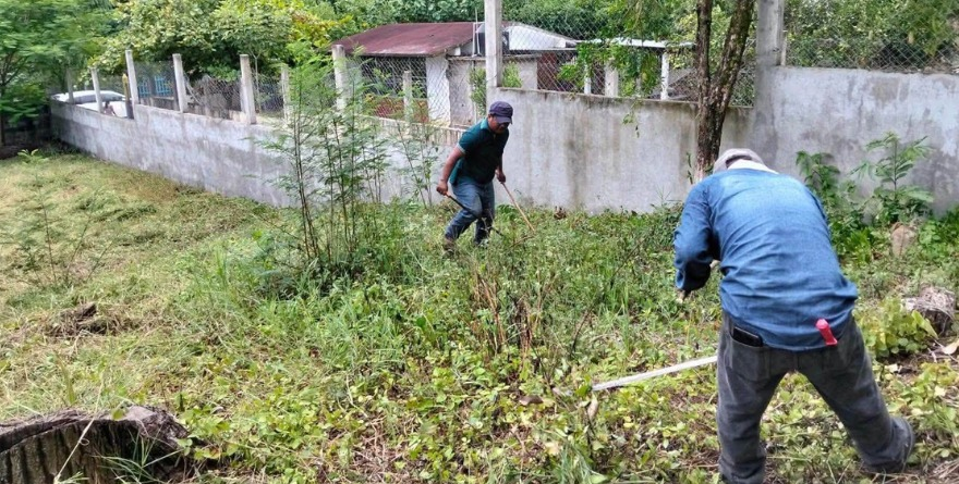 Atienden áreas verdes en escuelas de Axtla