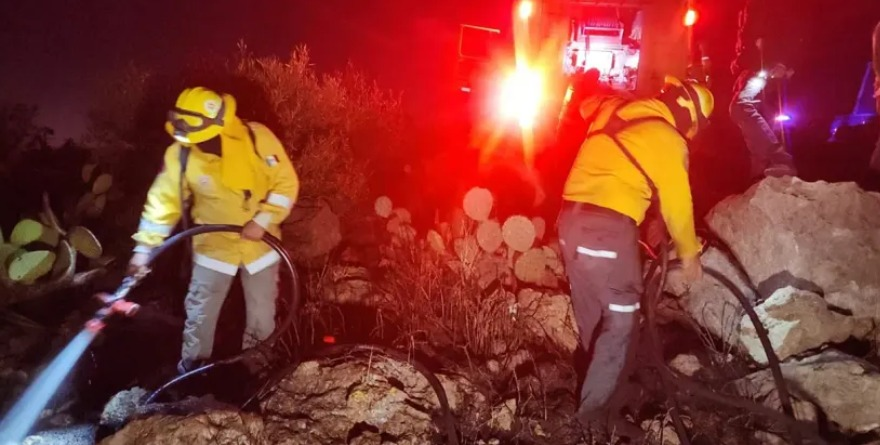 Incendios forestales en San Luis Potosí suman 87 siniestros 