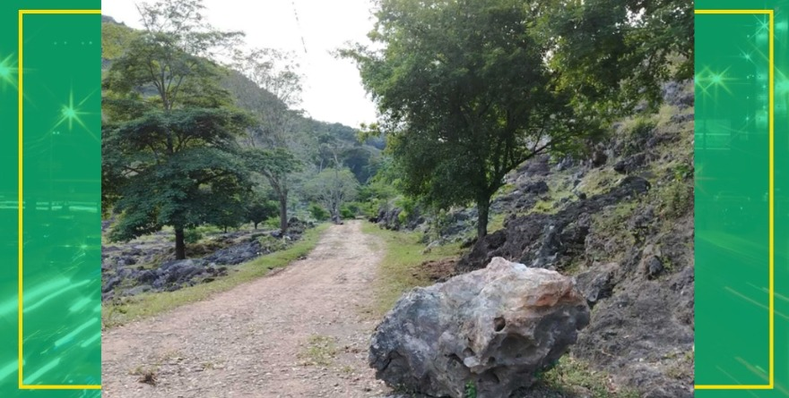 Roban material comunitario en El Otate