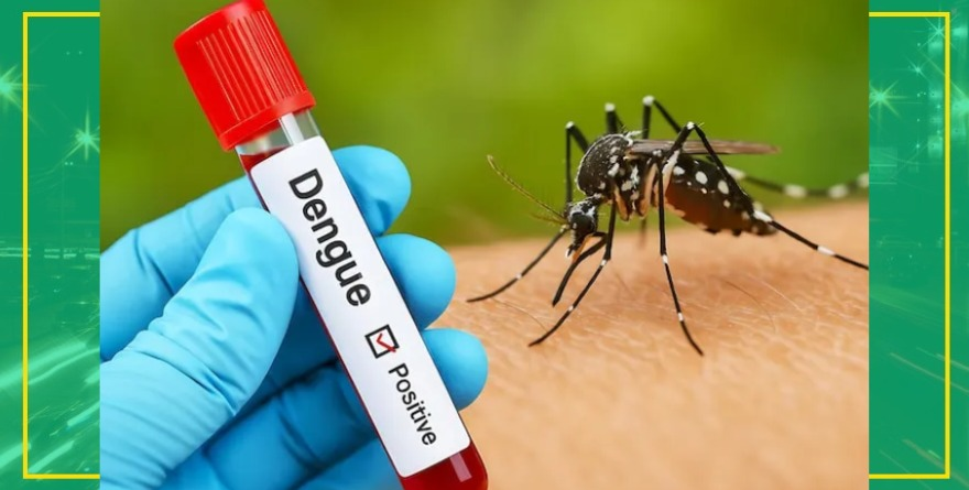 Alerta por dengue