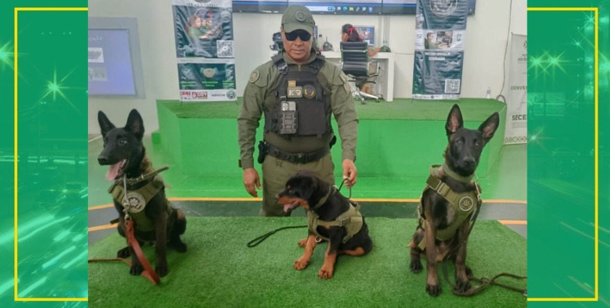 Brillan binomios K9 en la Fenapo