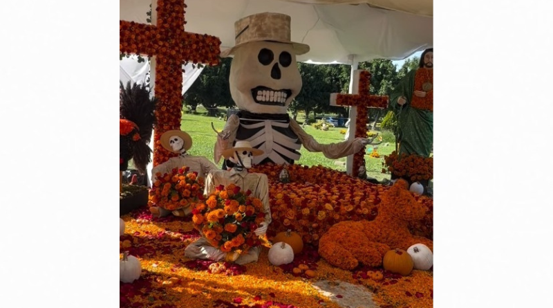 LLENAN TUMBA DE EL MENCHO CON CEMPASÚCHIL POR DÍA DE MUERTOS