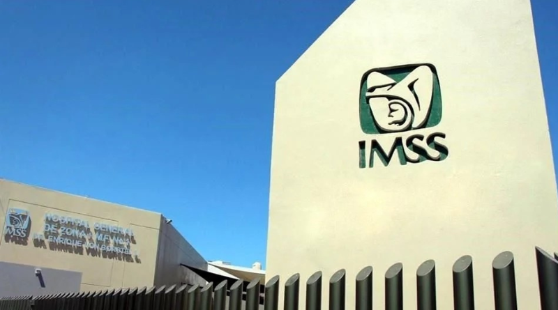 ANALIZA MORENA CONVERTIR EN LEY DECRETO SOBRE MODALIDAD 40