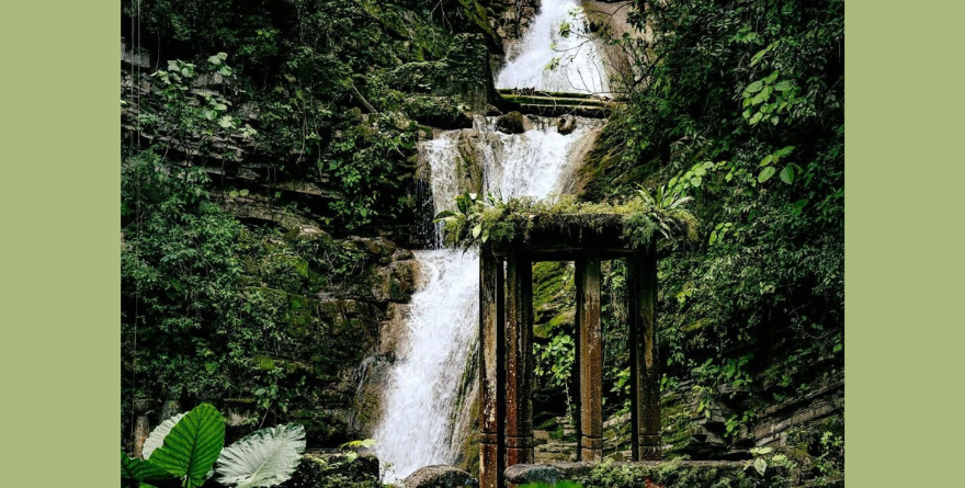 Proyectan conservación de Jardín Surrealista Edward James