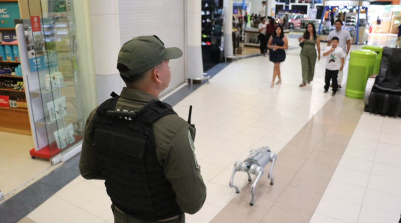 Encuestas registran disminución en percepción de inseguridad