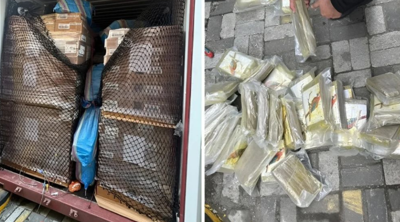 DEJA 330 DETENIDOS MEGAOPERACIÓN ANTINARCO EUROPEA