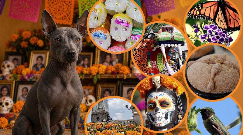 SÍMBOLOS QUE DAN VIDA AL DÍA DE MUERTOS