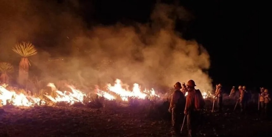 Vulnerables ante el fuego: Altiplano opera sin brigadas suficientes
