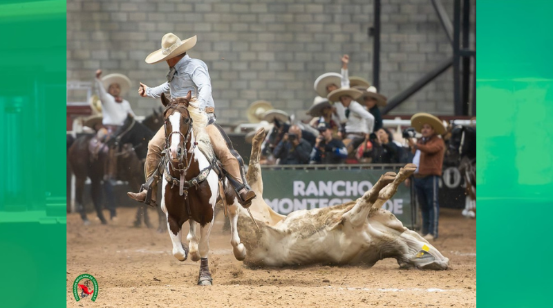 REGIONALES DE TEXCOCO ESCALA AL TOP 4