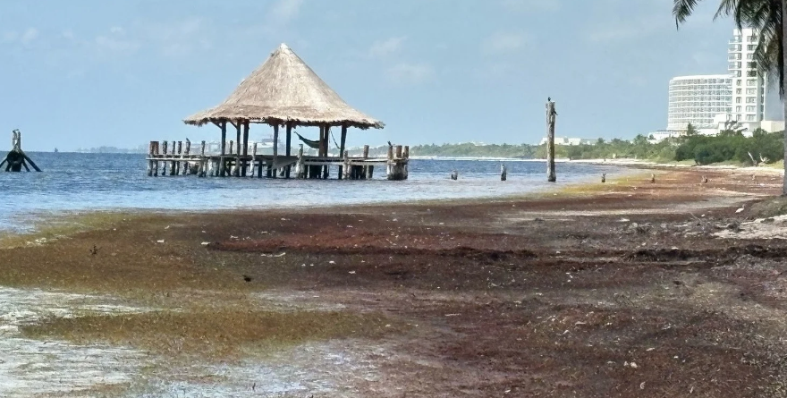 PIERDE QUINTANA ROO BRILLO Y CAEN LOS VIAJEROS