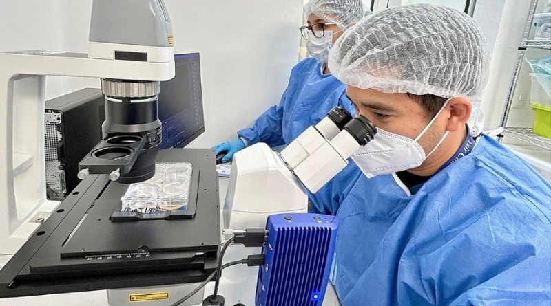 AL FIN… AVALAN TERAPIA ANTICÁNCER