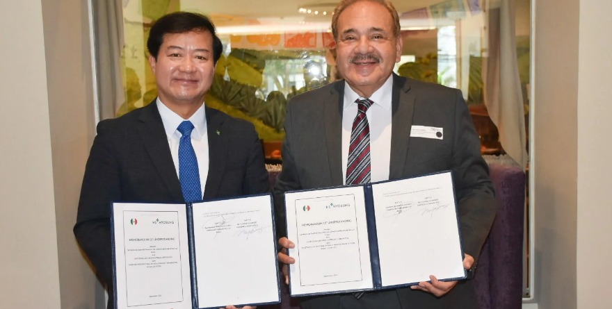 Viene planta coreana de alfombras de autos