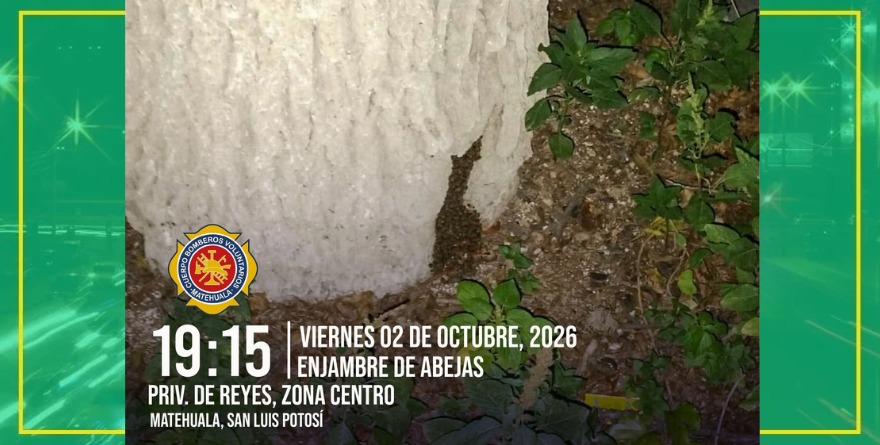 Bomberos rescatan colmena de abejas