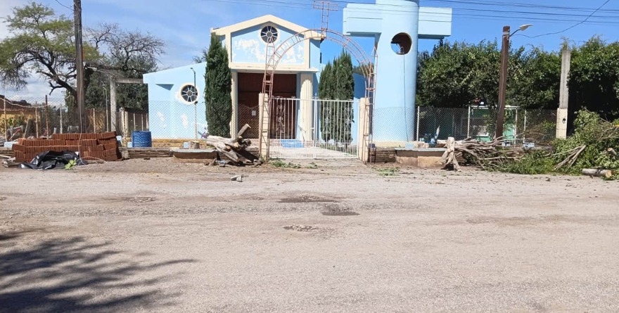 Sancionan derribo ilegal de árboles