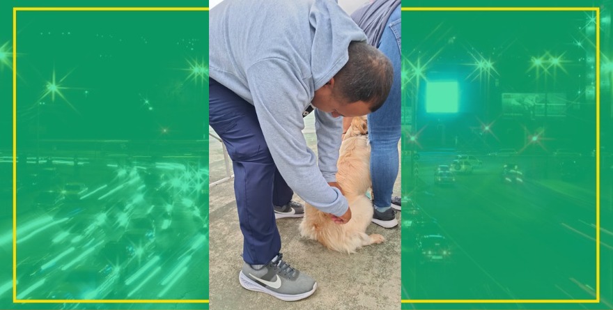 Inoculan dosis contra la rabia