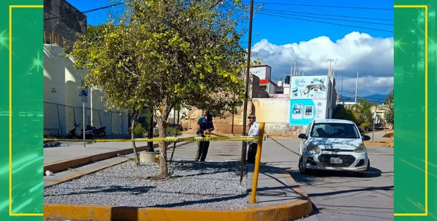Atienden panal en Bodega Aurrerá