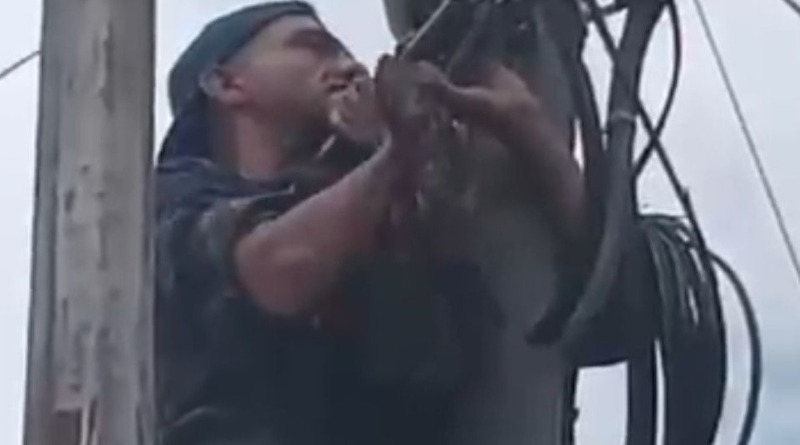 POLICIACA/ CAE ROBANDO CABLE DE POSTE DE CFE
