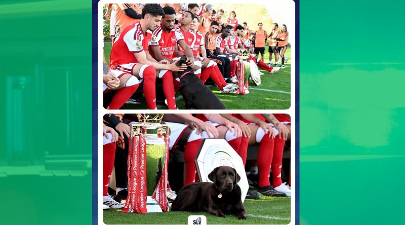WIN, LA PERRITA DEL ARSENAL, ROBÓ CÁMARA EN LA FOTO OFICIAL