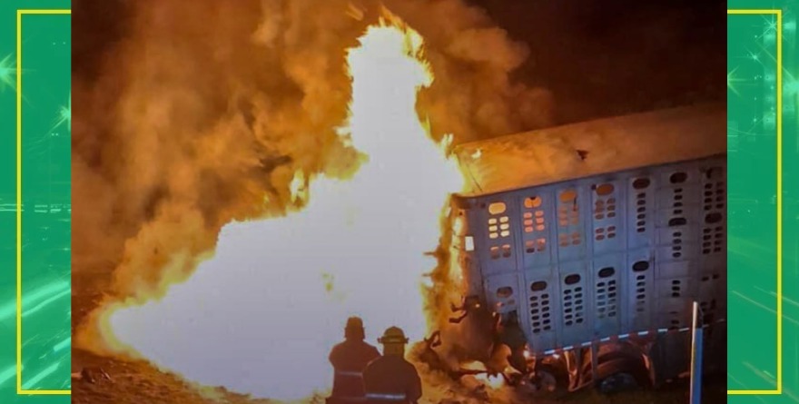 Bomberos sofocan incendio de tráiler