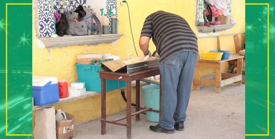 Atención y esterilización