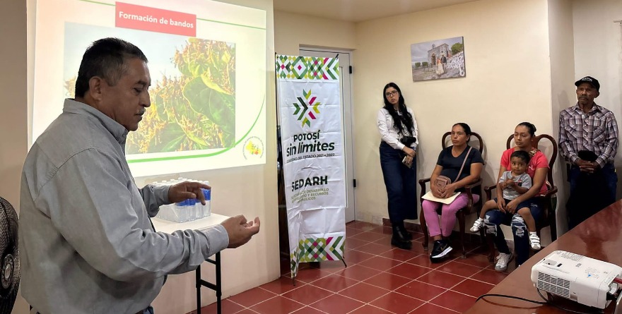 Capacitan contra la plaga agrícola