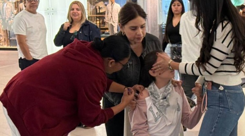 LA INFLUENZA EN 5 BÁSICOS