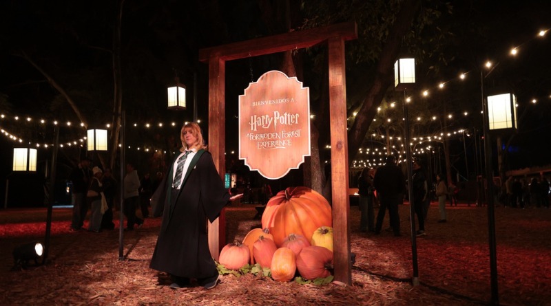CAMINA HACIA LA MAGIA DE HARRY POTTER